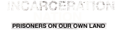 Incarceration Nation logo